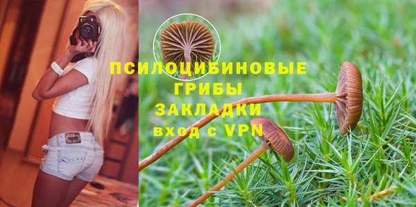 прущие крисы Волосово