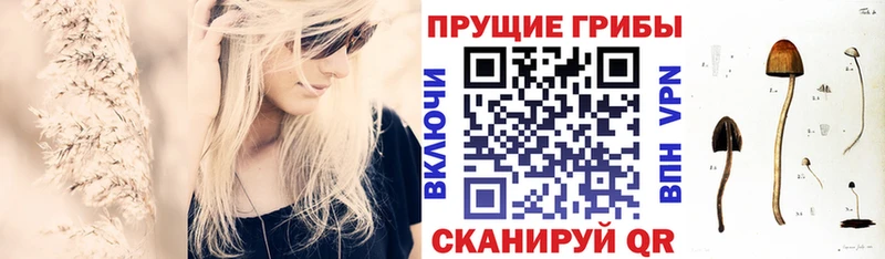 Псилоцибиновые грибы Cubensis  Городище 